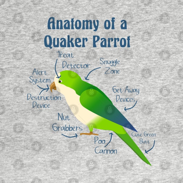 Anatomy of Quaker Parrot Monk Parakeet by Einstein Parrot